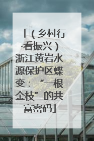 （乡村行·看振兴）浙江黄岩水源保护区蝶变：“一根金枝”的共富密码